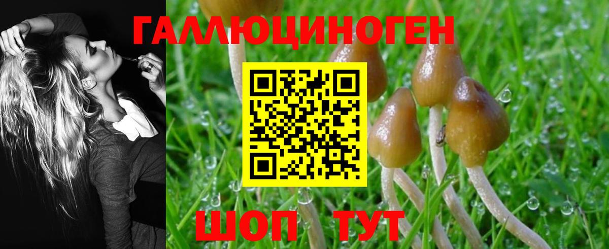 Галлюциногенные грибы мухоморы Магнитогорск