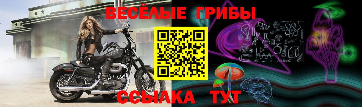 Галлюциногенные грибы Cubensis  Вход с VPN  Псилоцибиновые грибы ЛСД  Магнитогорск 